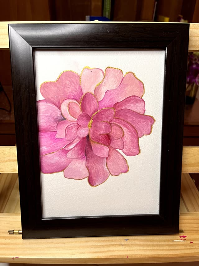 Pink chrysanthemum