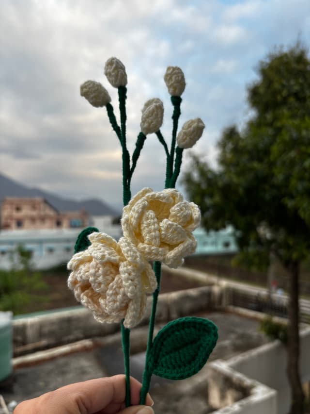 Jasmine (flower)