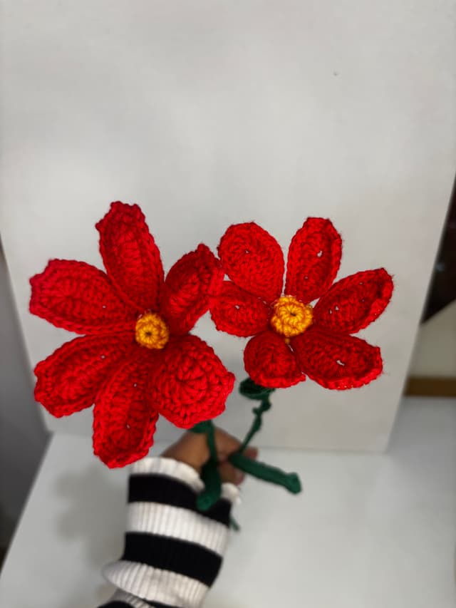 Cosmos (flower)