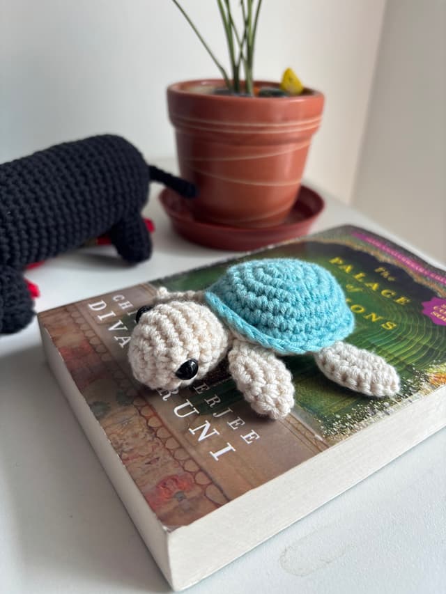 Crochet Turtle
